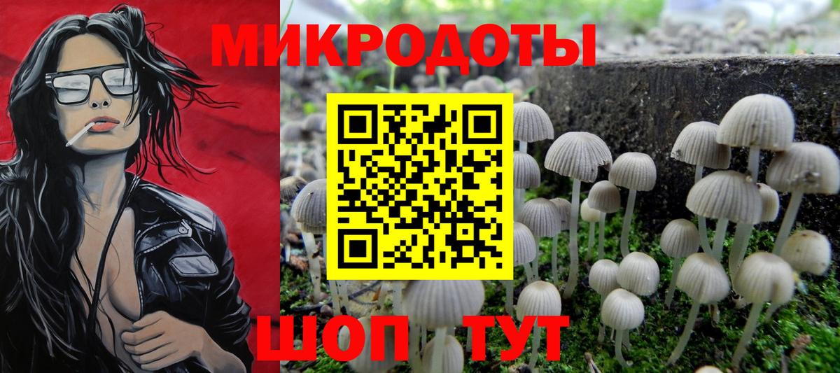 Галлюциногенные грибы GOLDEN TEACHER Можайск